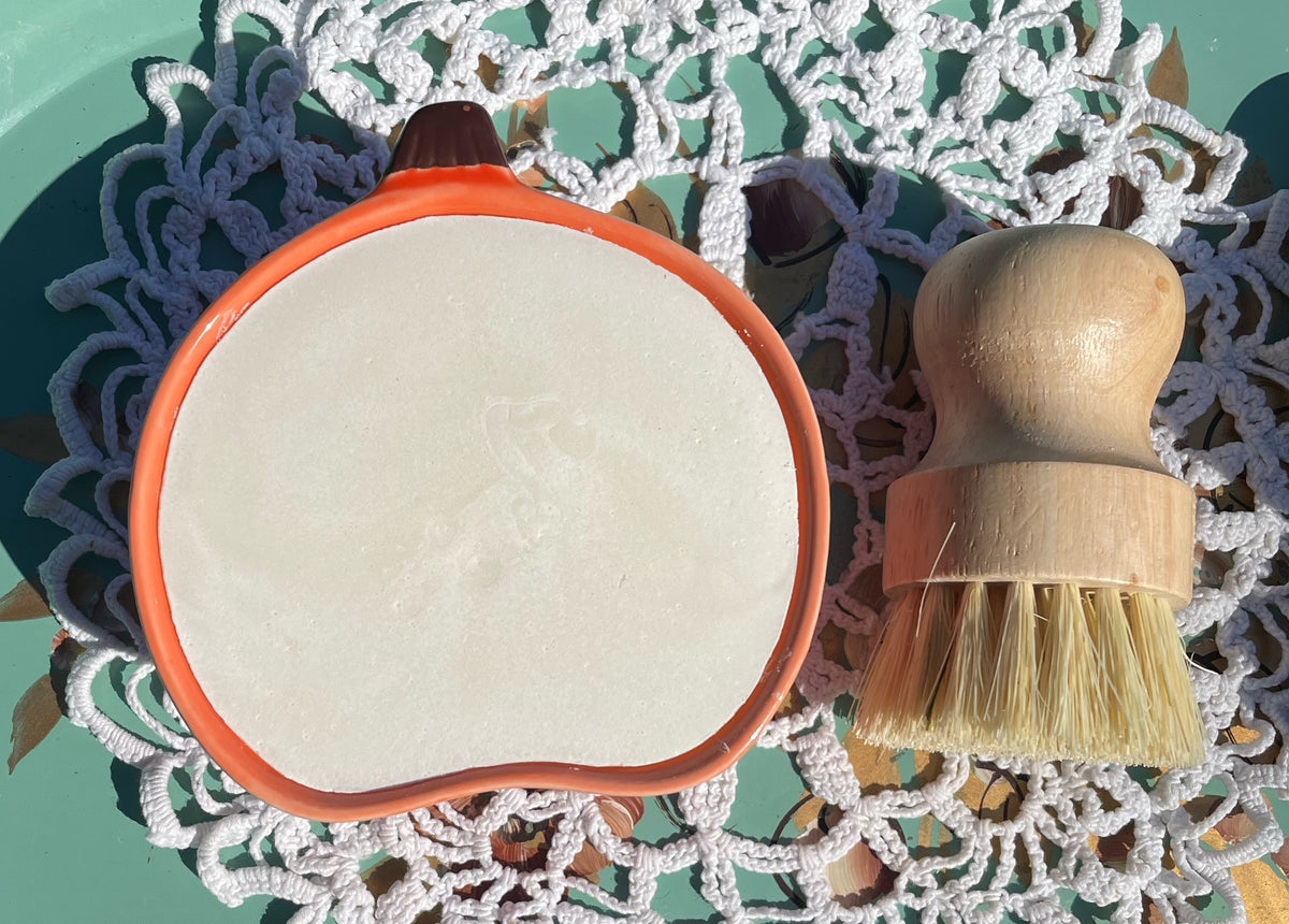 SOLID DISH SOAP & BRUSH SET